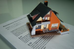 Sale Contract and house by ginkgo2