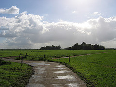 New Year Old News; But Opportunities Exist if You’re Open to Them! real estate opportunities