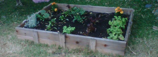 Add Value to Your Investment Properties with Organic Gardens organic-gardens