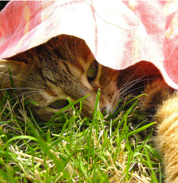 4 Hidden Costs That Can Sneak Up After Buying An Investment Property Hidden Costs