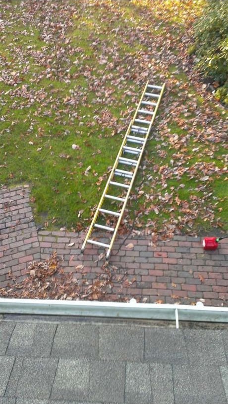ladder