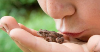 In Real Estate, You May Have to Kiss A Few Frogs… Here’s Why! In Real Estate, You May Have to Kiss A Few Frogs... Here's Why